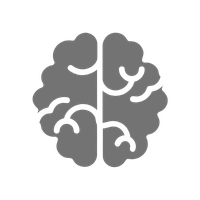 brain